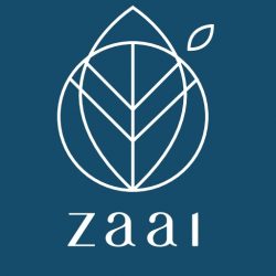 Zaai